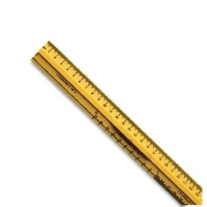 SI Metric Desk Ruler | Ward's Science