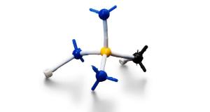 Basic Molecular Models Student Activity