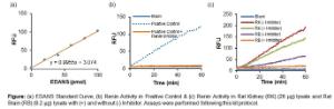 Rat Renin Activity Fluorometric Assay Kit, BioVision