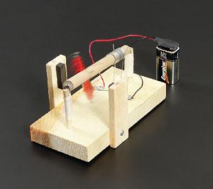 Build Your Own Motor Kit | Ward's Science