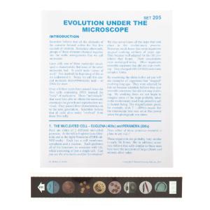 Evolution Under the Microscope Microslide