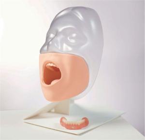 Kyoto Kagaku® Oral Care Simulator