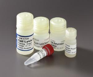 Promega Wizard® Genomic DNA Purification Kit | Ward's Science