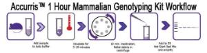 Accuris™ Mammalian Genotyping Kit