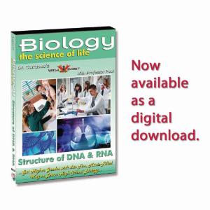 Structure of DNA & RNA