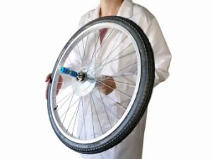 Bicycle Wheel Gyroscope | Ward's Science