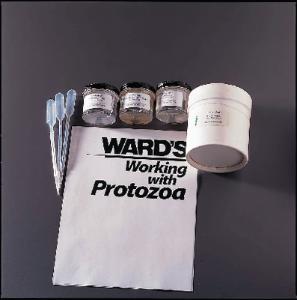 Ward's® Protozoa Classification Set