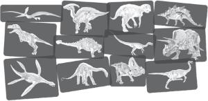 Dinosaur picture cards and X rays 2