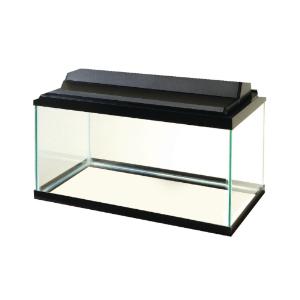 29-Gallon Glass Aquarium