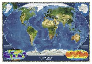 World satellite map