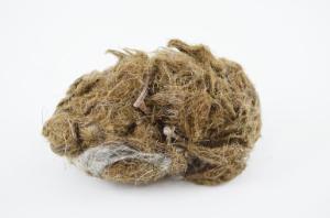 Simulated owl pellet, mouse