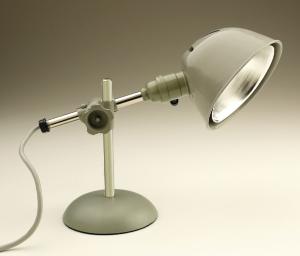 Portable Lab Light | Ward's Science