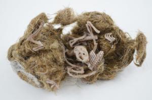 Simulated owl pellet, mouse