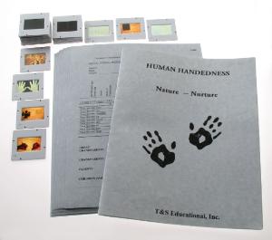 Human Handedness Activity