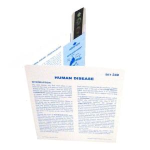 Human Disease Microslide